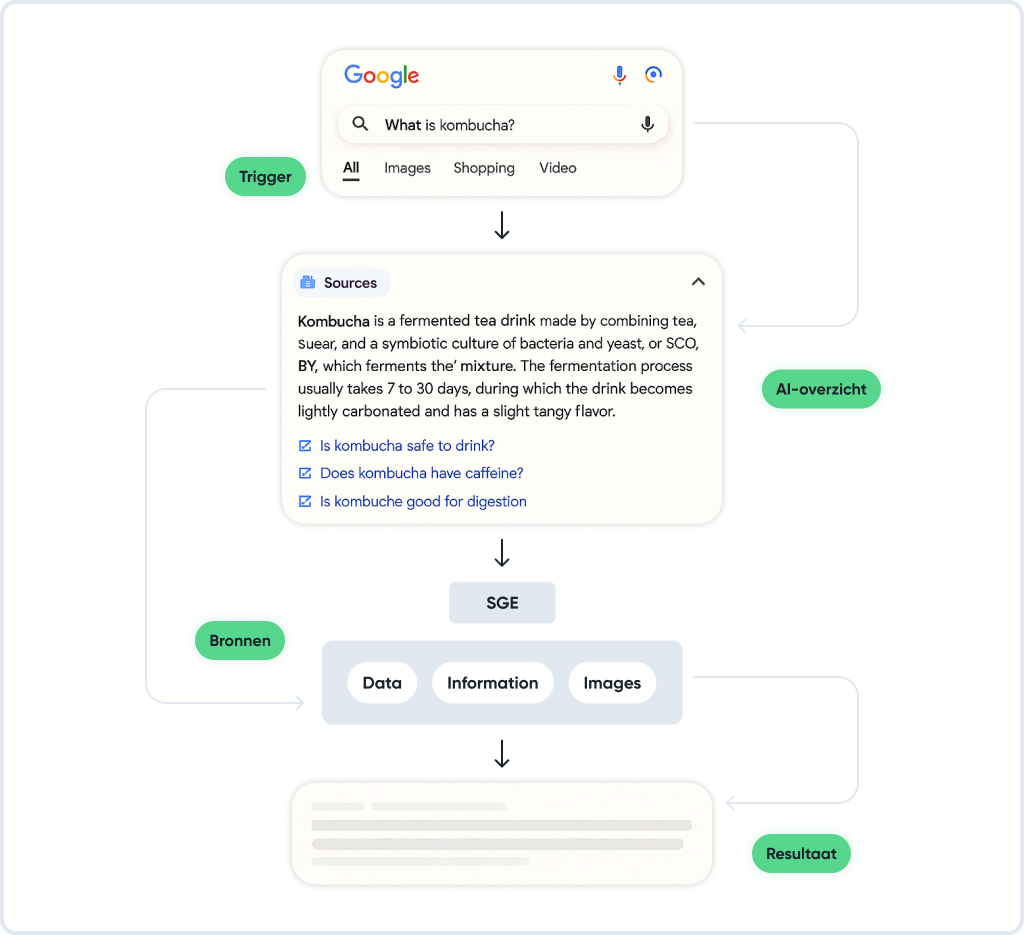 Google AI Overviews